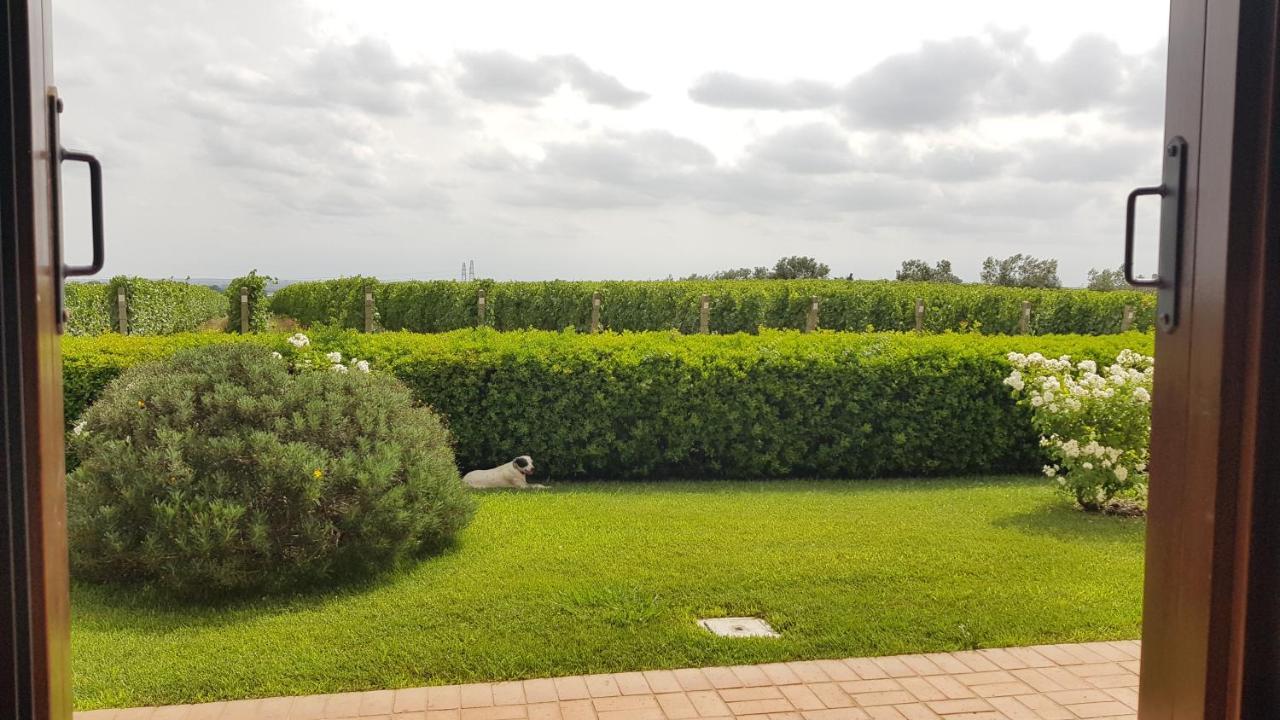 Il Casale Degli Ulivi - Agriturismo - Tenimenti Leone Lanuvio Екстер'єр фото