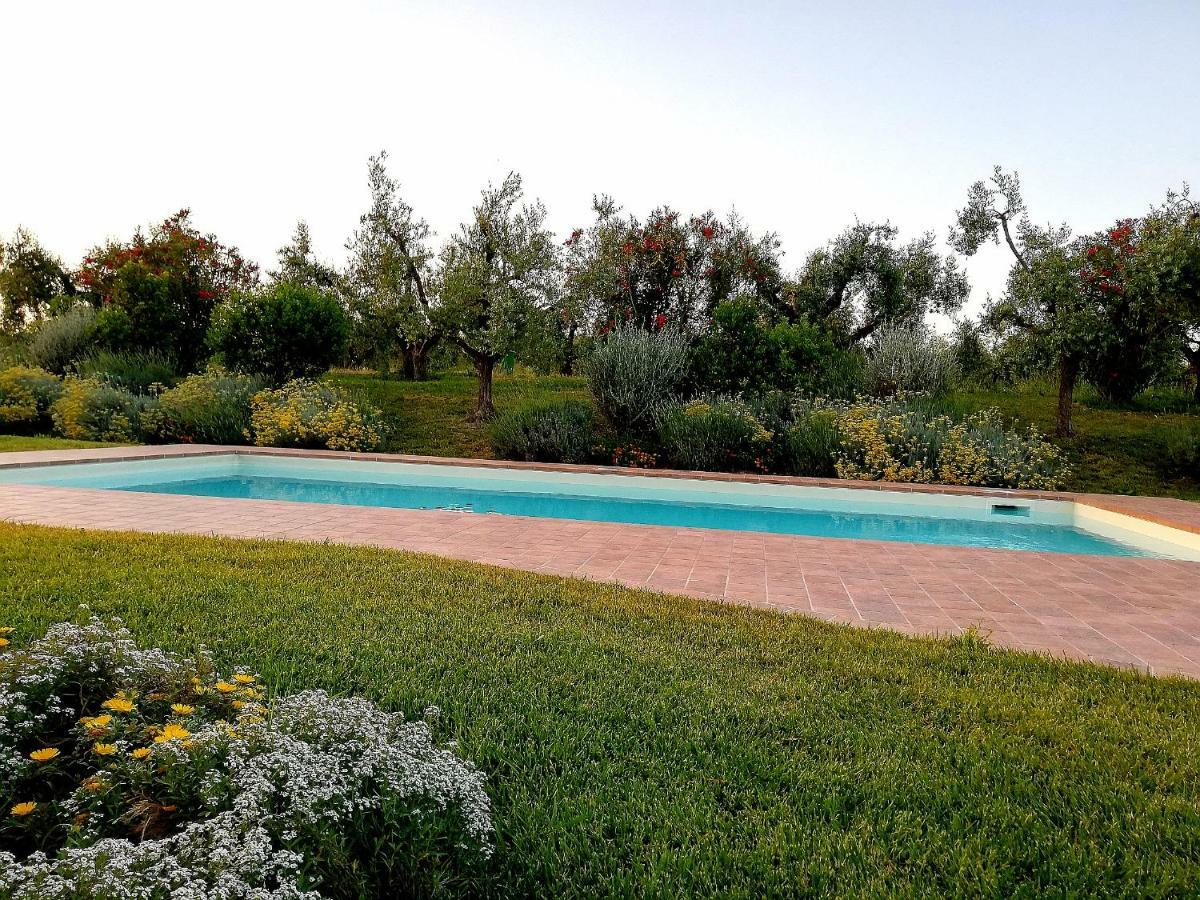 Il Casale Degli Ulivi - Agriturismo - Tenimenti Leone Lanuvio Екстер'єр фото